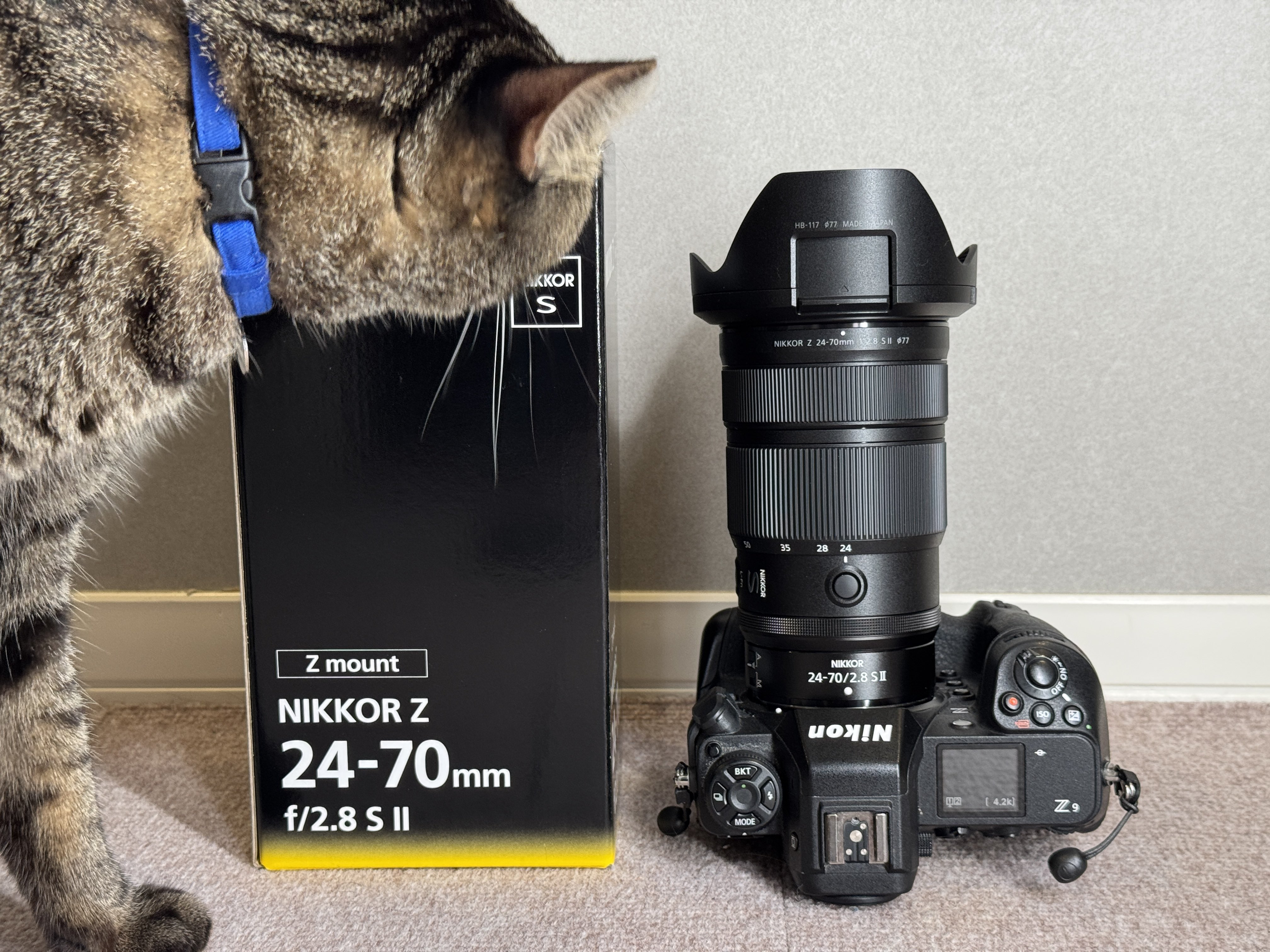 【希少・未使用美品】メガソニック・アイ、トビペンギン 予約販売：2024年11月～2025年1月以後 お届け予定】＜当店限定