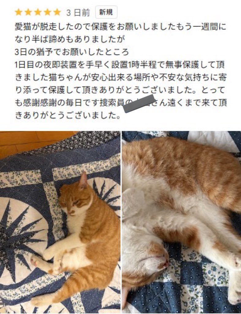 カワちょ2号 on X: 