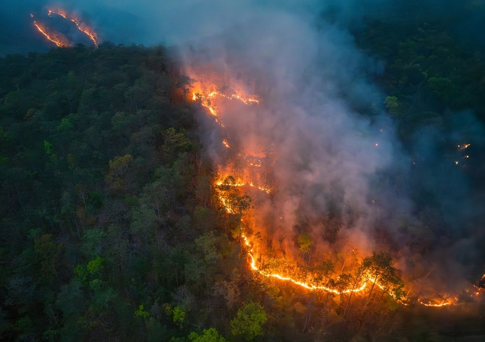 AtlaiWorld's tweet image. Australia&apos;s tree cover loss intensifies, with Queensland facing new wildfire incidents. #AustraliaWildfires #EnvironmentalConcern #ATLAI #ChartAGreenPath #togetherforhumanity
atlaiworld.com/alerts/04-09-2…