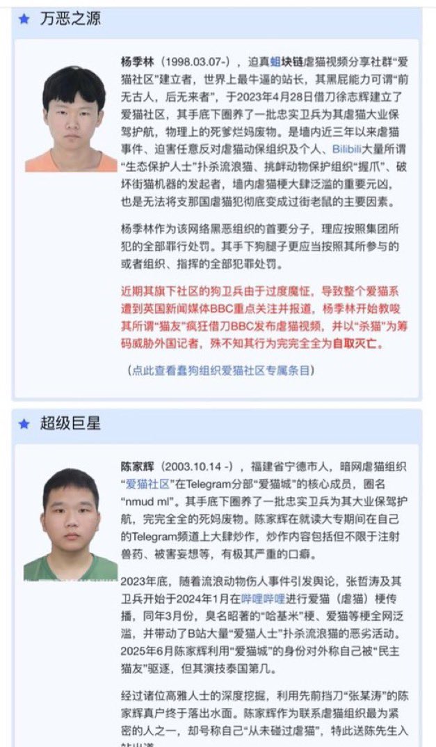 migikatakawai's tweet image. これが中国人のやること。
猫の拷問殺害動画や猫100匹殺害コンテストを開催して収益を上げている大規模猫虐待グループのトップの中心人物の楊季林と陳家輝。