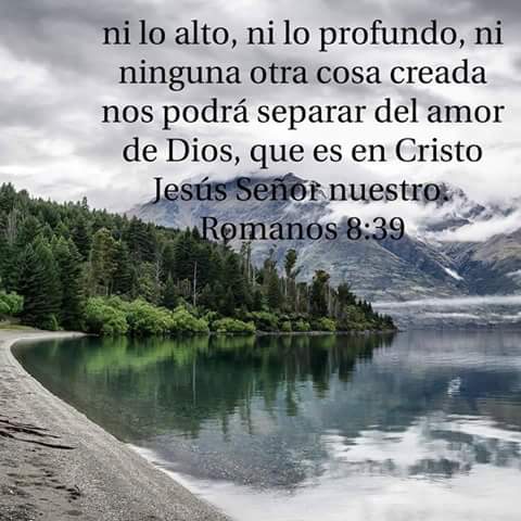 servicejose's tweet photo. Prosperidad...o miseria no podrán, disolver la relación entre Tú y yo.
En sombra o luz.
En salud o enfermedad,
Tú Palabra me dará seguridad!! https://t.co/qoIswAptNg