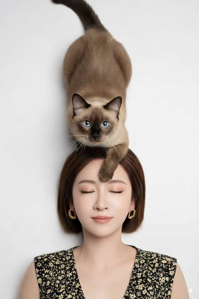 婙雯 | Lith Li tweet media