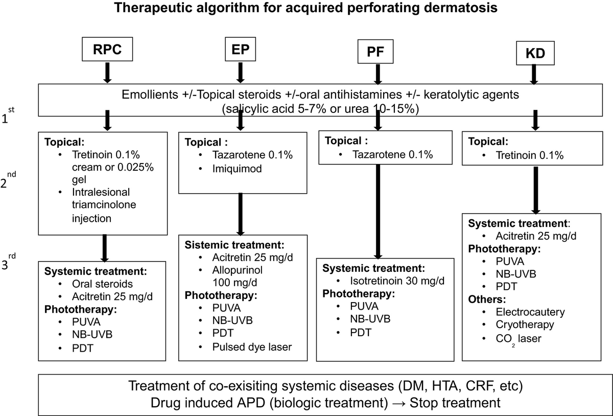 Apd Rashes Acquired reactive perforating collagenosis (ARPC) One of 4 acquired ...