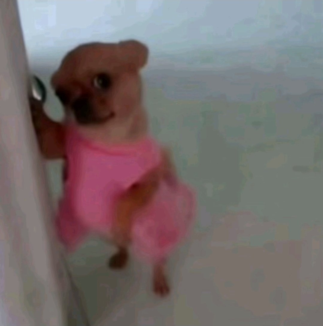 Kinda sad majority of my followers rn are only for sonic cause,.... ill like actual fans of my art in general so that its consistent...you get me?