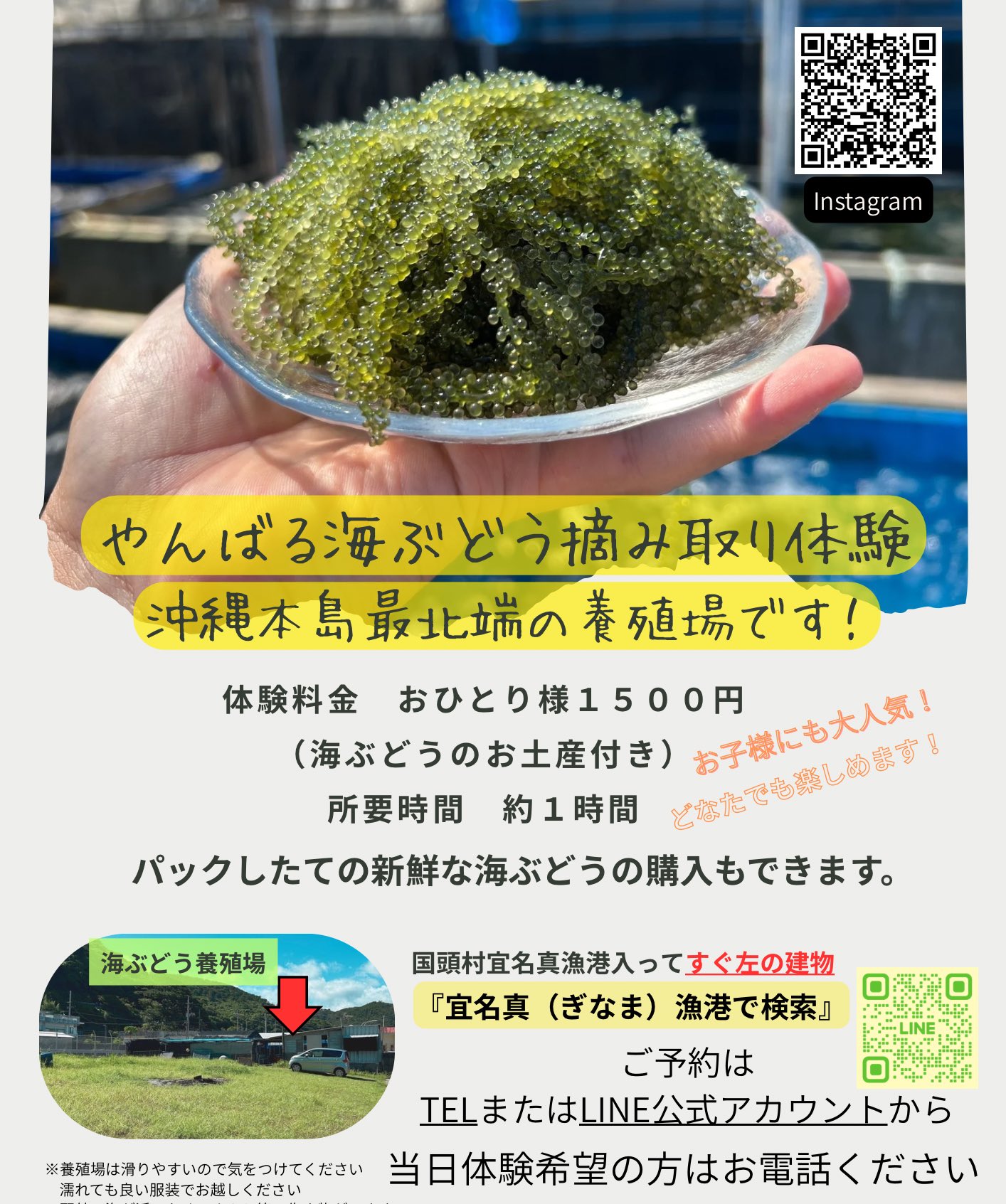さかな 自己紹介読んで下さい Amazon.co.jp: ザ・アクセス 下敷き A4 魚 【2種セット】 漢字