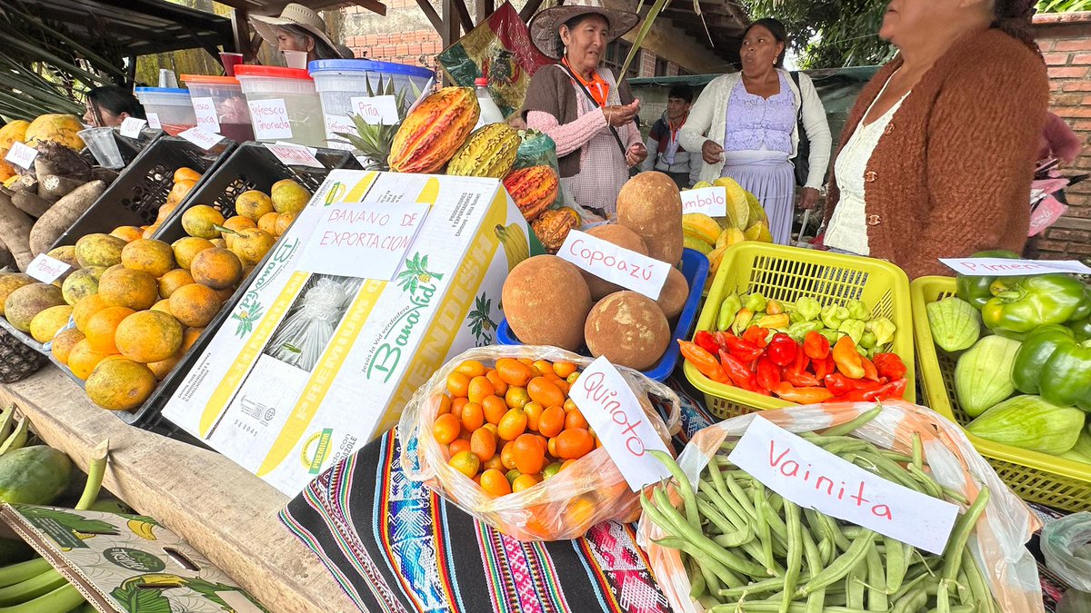 Destacamos el potencial productivo de nuestra Central de Comunidades Interculturales Chimoré mediante una gran feria instalada en conmemoración a los 57 años de creación de nuestra organización.