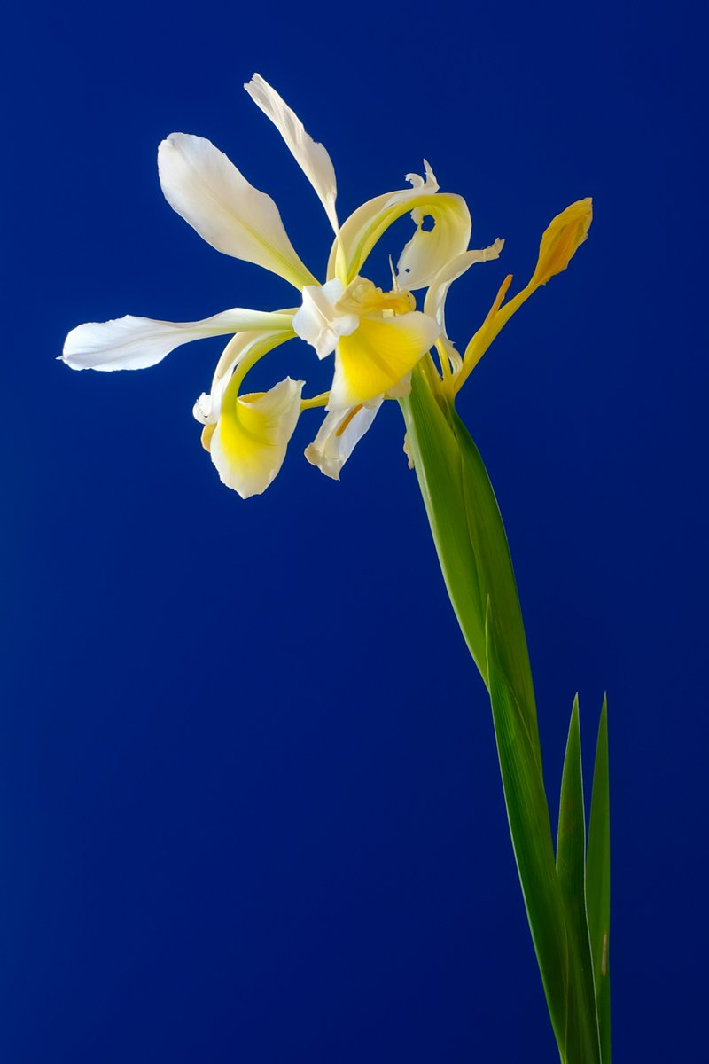 NOW: code &amp; AI (2025)
THEN: photography (2022)