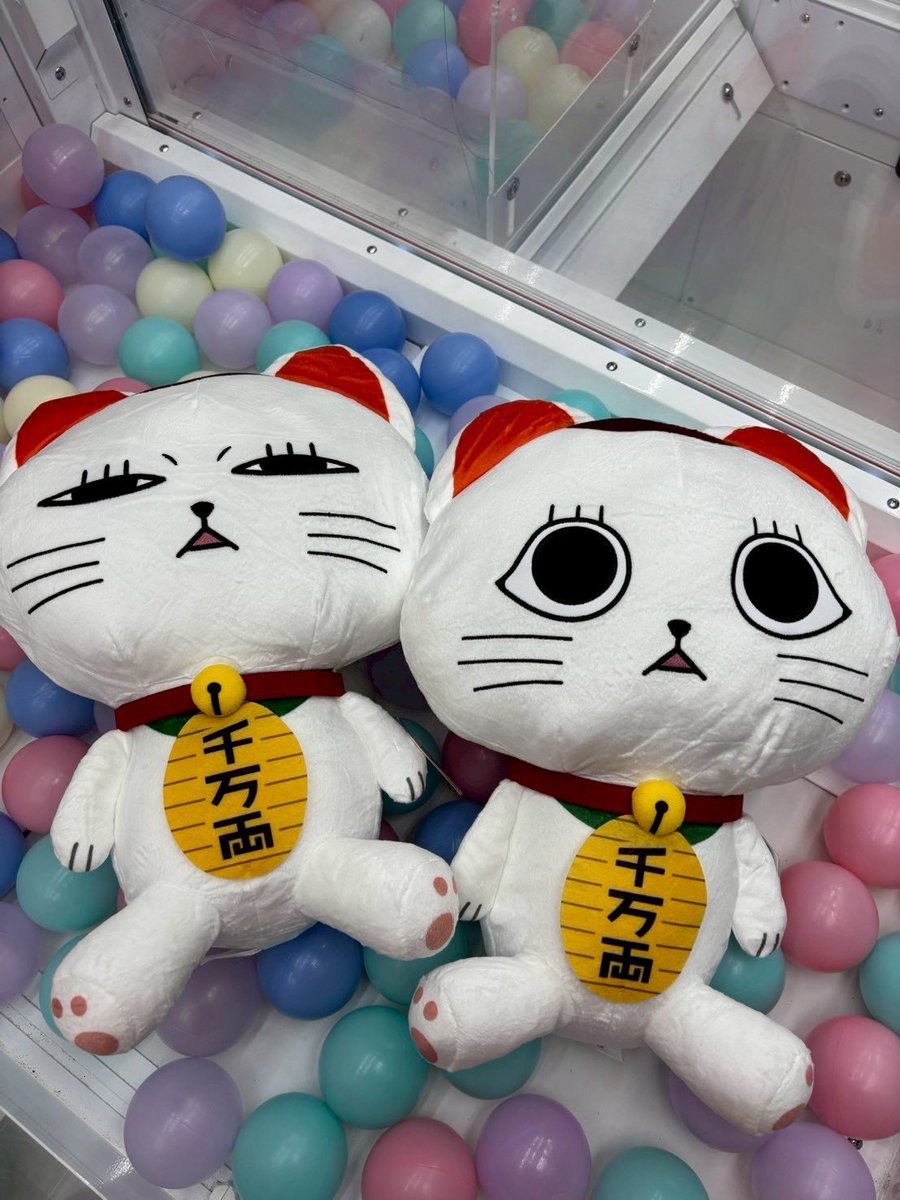 新品♪ もってきー ぬいぐるみ もってきーな もってきーな☆神栖店クレーンゲーム on X: 