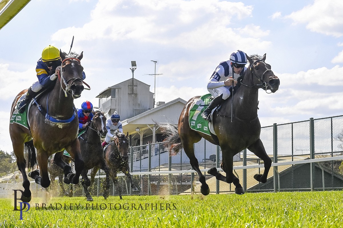hawkesburyrc's tweet photo. Race 1 – DAVID BROWN MEMORIAL SUPER 3YO MAIDEN HANDICAP (1000m)

A FIERCE start to the day as the @HawkesRacing team struck first, with Grant Buckley lifting the 3YO to an impressive maiden win over the sprint trip. 🏇💨
📸 @Bradley_Photos https://t.co/PLjWci3UAs