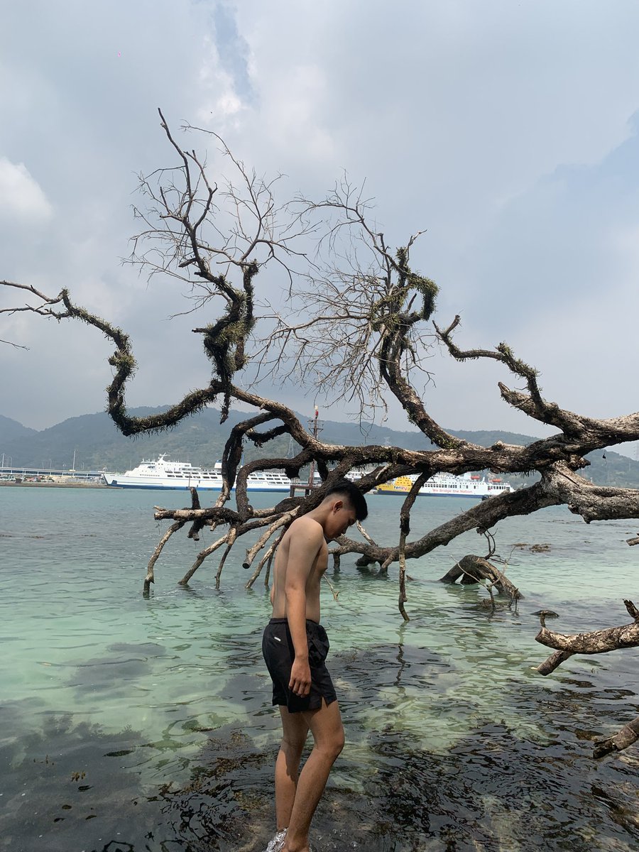 voltrbb's tweet image. seruwww