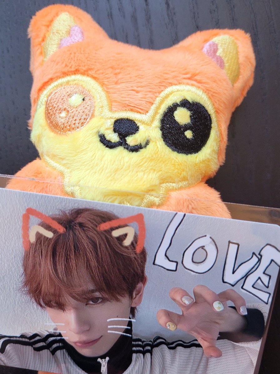 raycatman_art's tweet photo. not both of these important artefacts arriving in my mailbox on the same damn day lmao @xikeystudio haru is safe in his new australian home 🥰🦊 https://t.co/1p1oWWgjGG