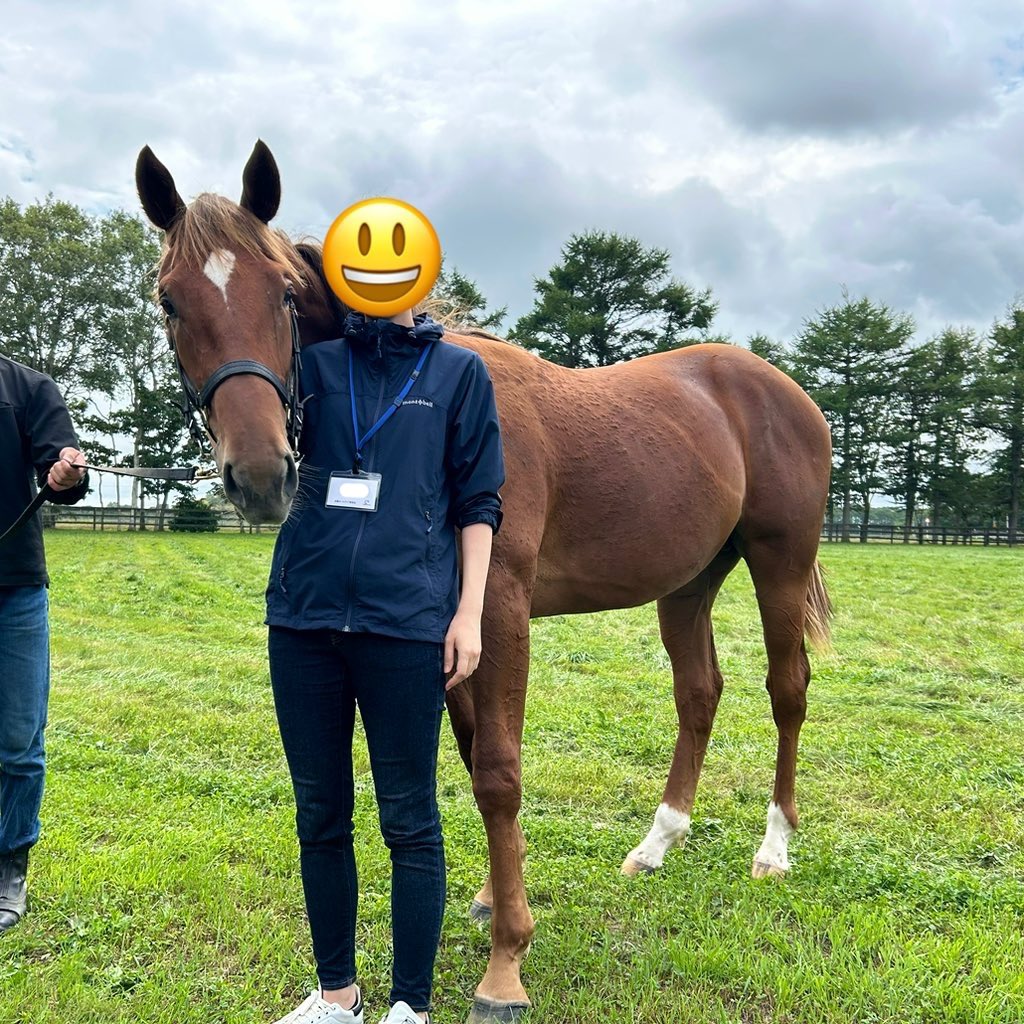 ⭐︎虎馬⭐︎ 虎馬 (@toratora_uma) • Threads, Say more