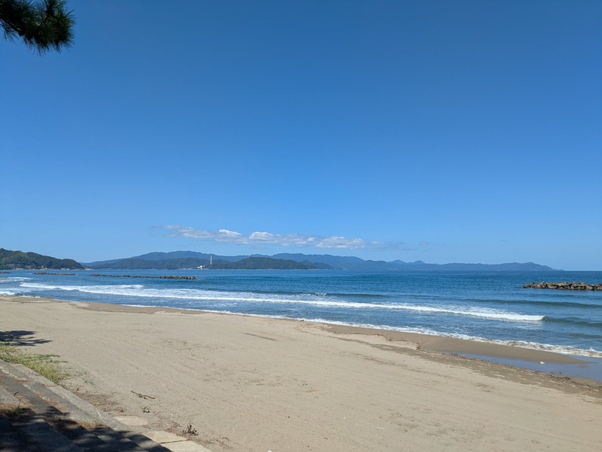 小林研究所 tweet media