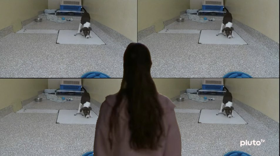 I’m scared 😭 #bb27