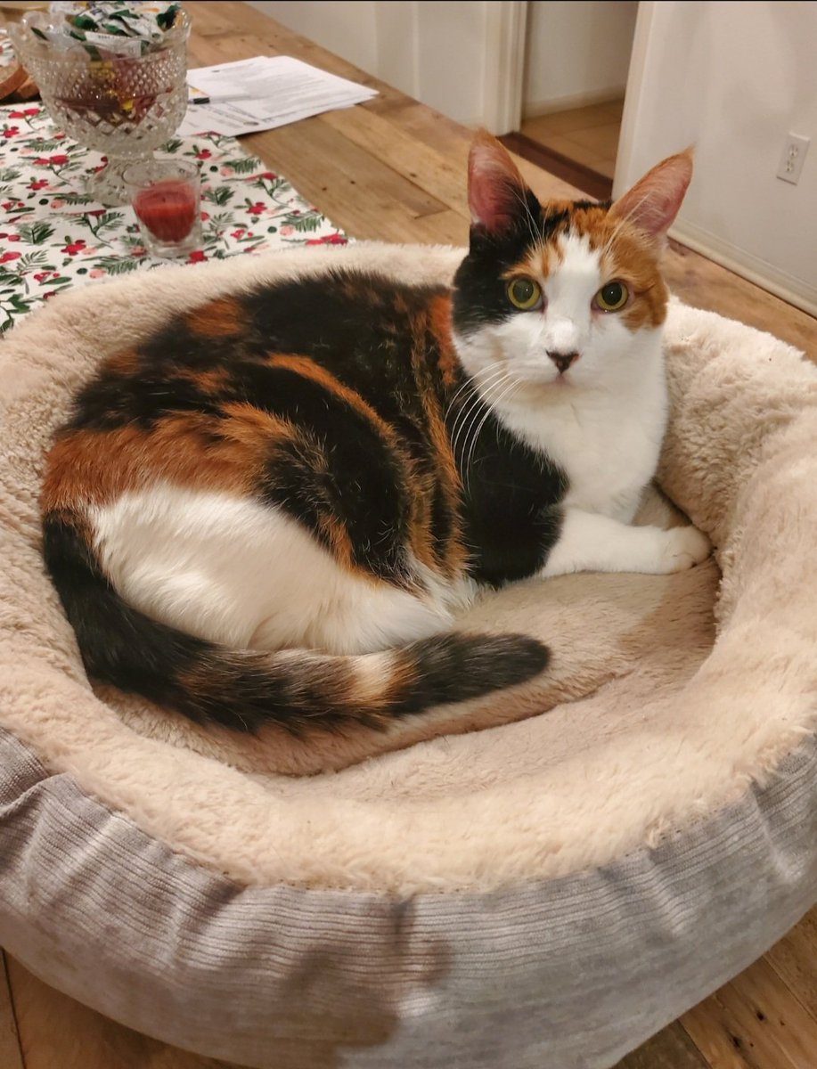 SolidariTree🌲🏞 tweet media