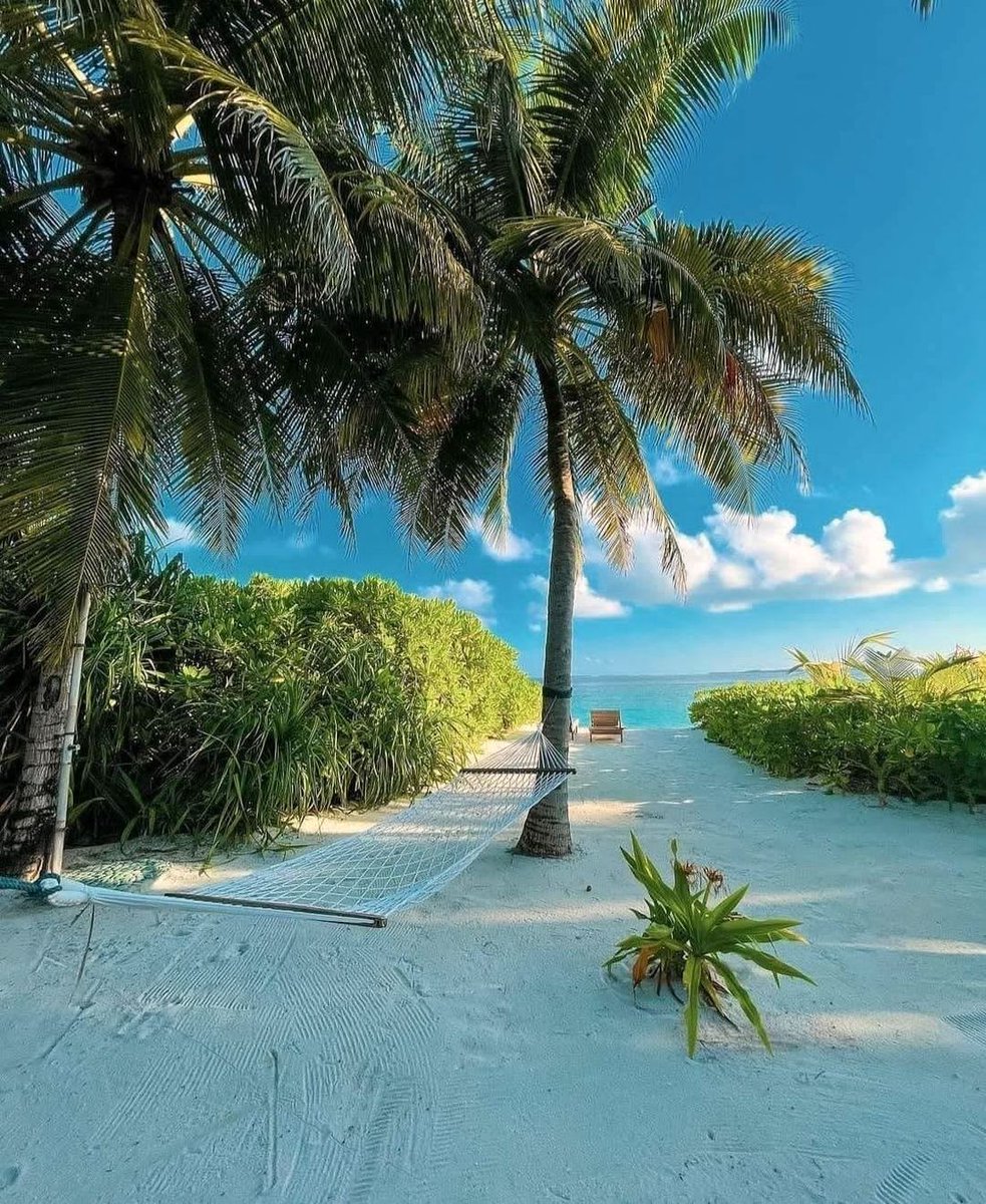 ruby_willi19034's tweet image. Maldives