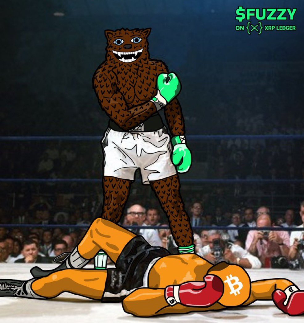 fo_fuzzy's tweet image. Why is $FUZZY king:

- Unwavering conviction from the community 💎✊

- The best unique, human-made art on XRPL 🎨

- Narrative &amp;amp; lore tied to the very backbone of $XRP 📜

- Level-headed, like-minded holders🤝

- Perfect dev execution, engagement &amp;amp; mystery 🔮

#FUZZY #XRPL #XRP