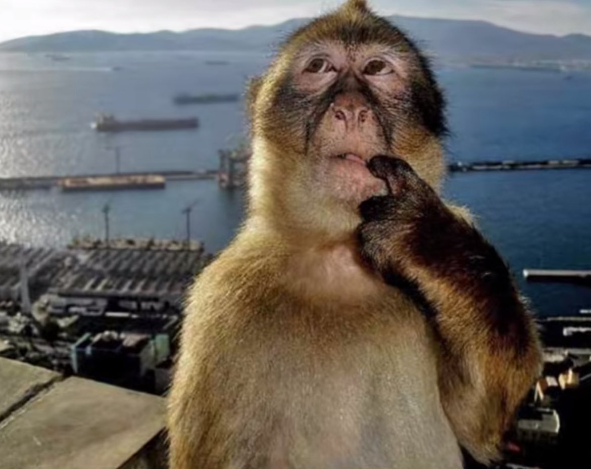 sebatchii's tweet image. break no contact on spotify or not, we shall let the 24 rack of banquets decide.#StayTuned