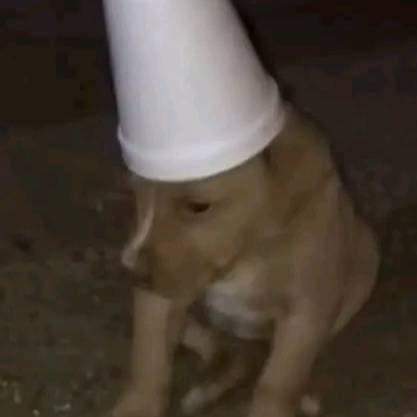 mdavidmata's tweet image. Físicamente en mi casa.
Mentalmente en el concierto de Imagine Dragons 🥲