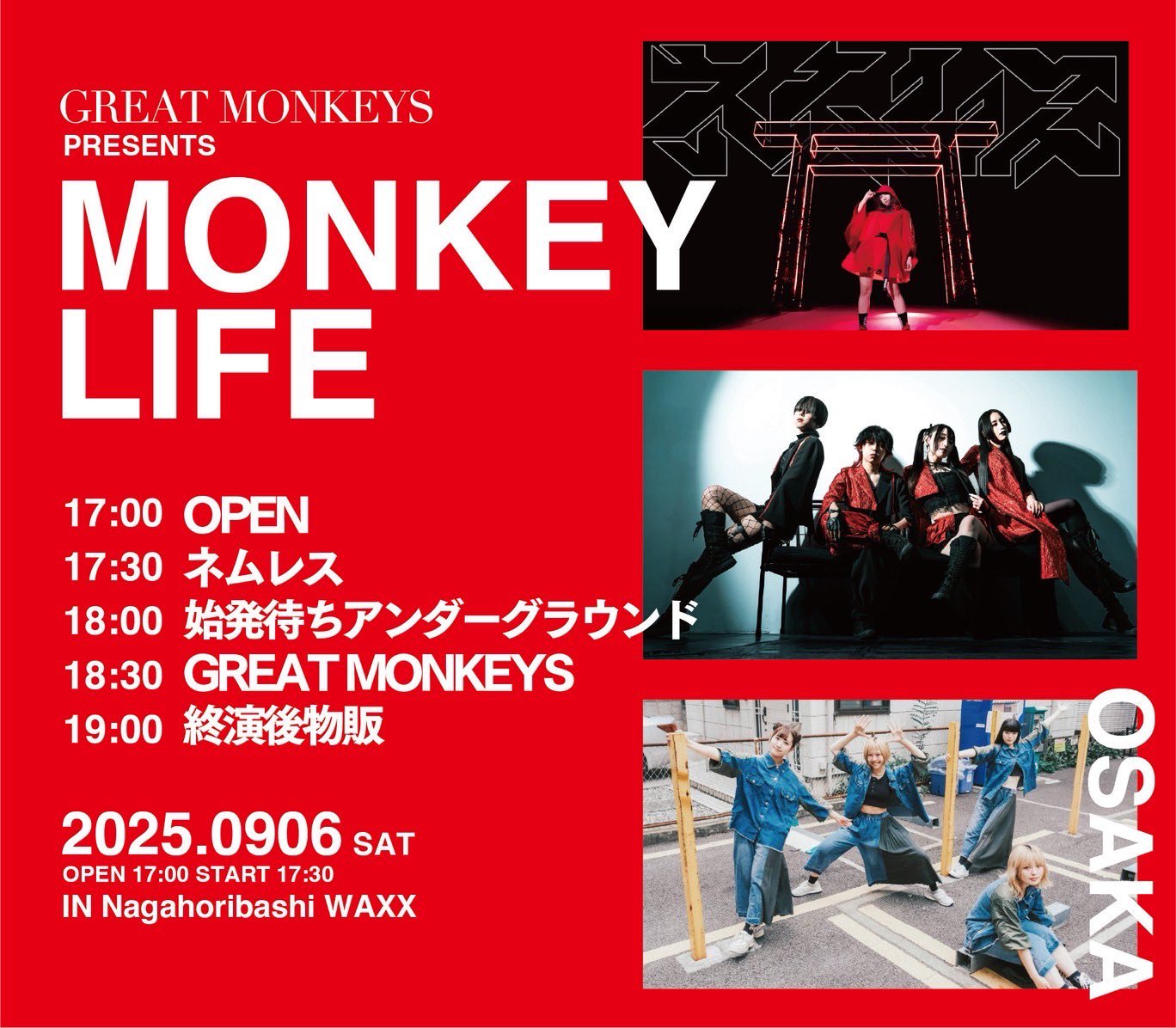 GREAT MONKEYS on X: 