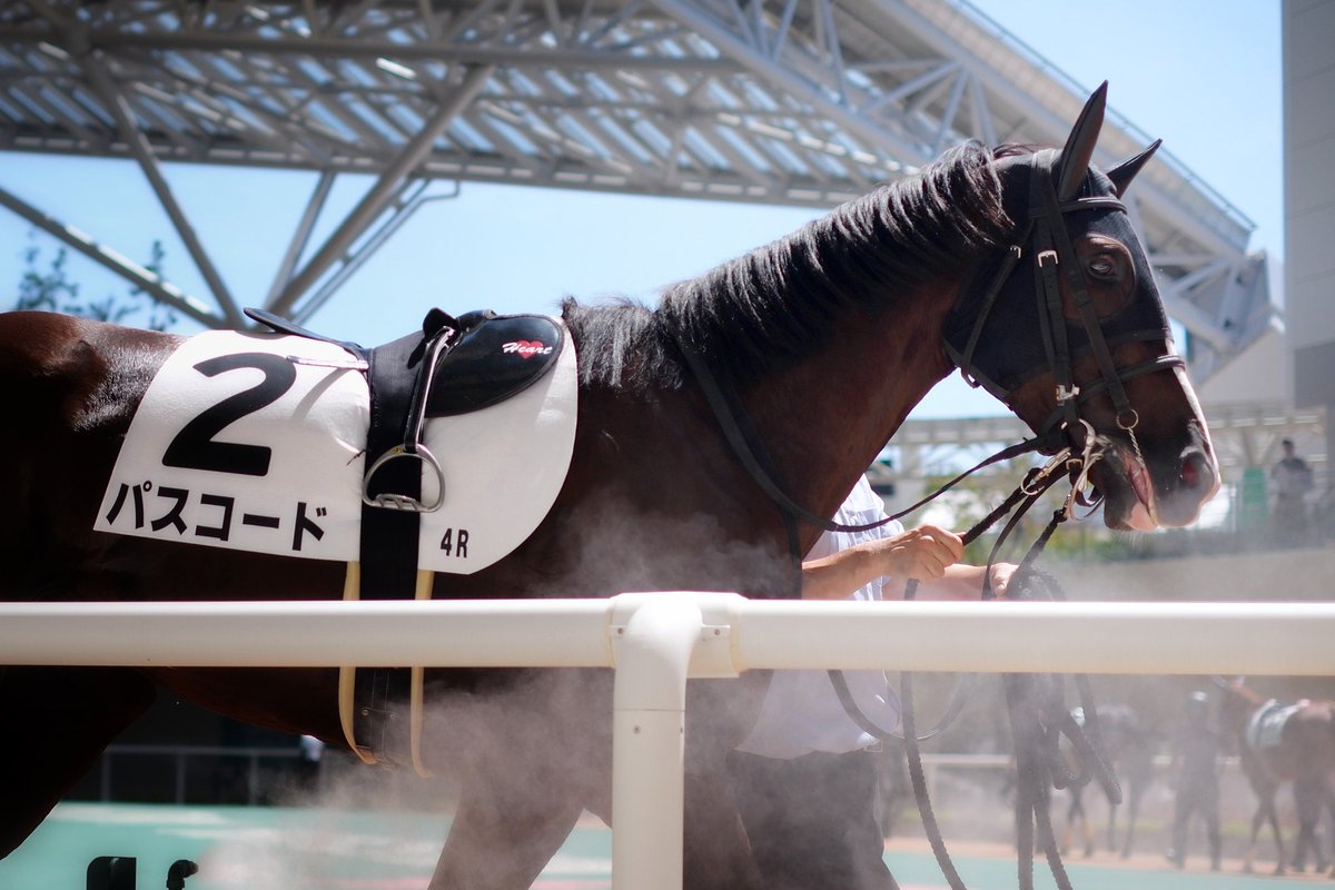 546_natsume's tweet image. おめでとう🎉
いいレースだったよ🐴

#パスコード
#シルクレーシング