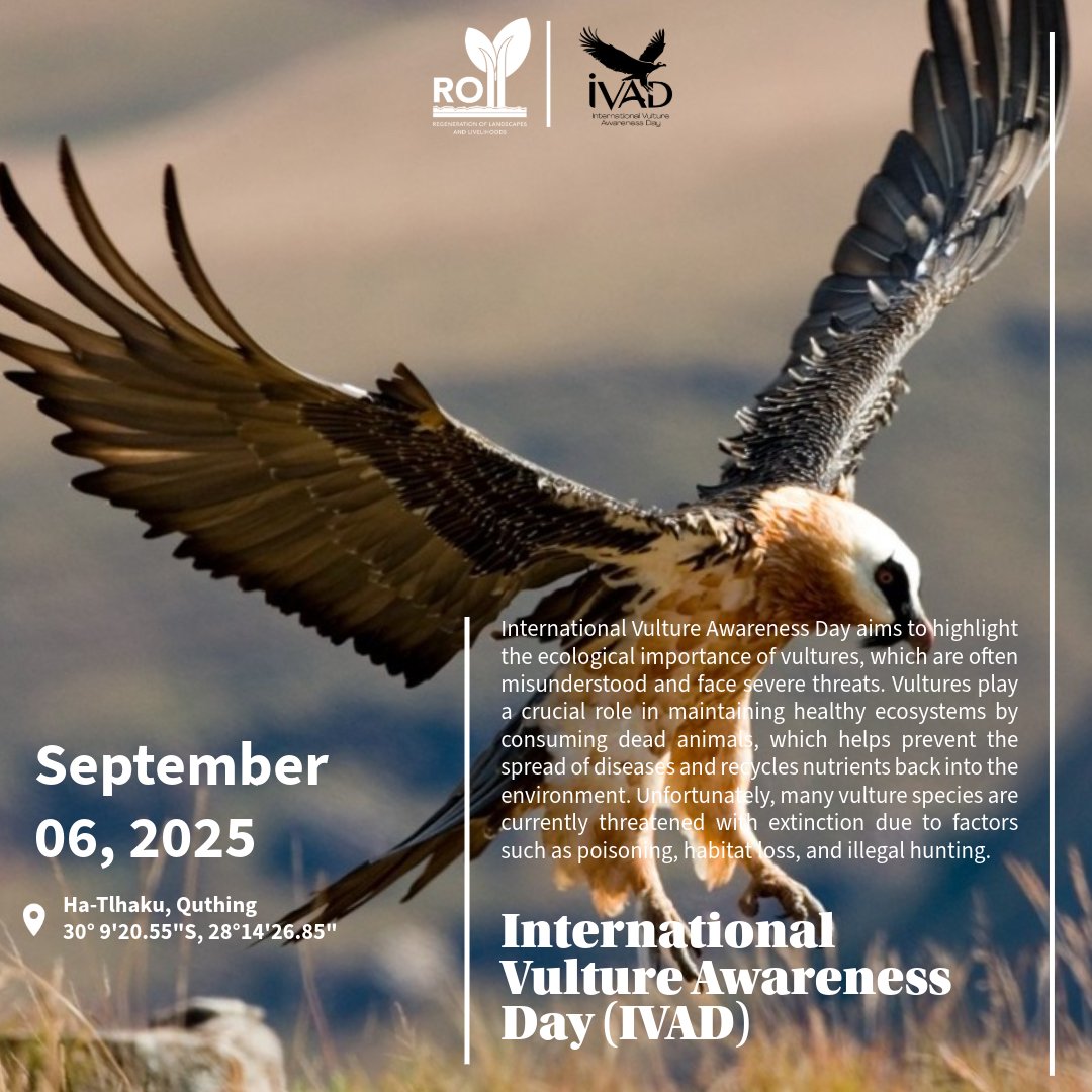 Conserving biodiversity for ecosystem health and livelihoods enhancement. Lets'a-la-Letsie, the only Ramsar site in Lesotho is actively participating in the commemoration of vulture awareness day #vulture #vultureday #intenationalvultureday #IVAD #IVAD2025