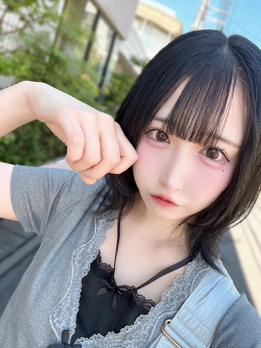 おはにゃーん🐱