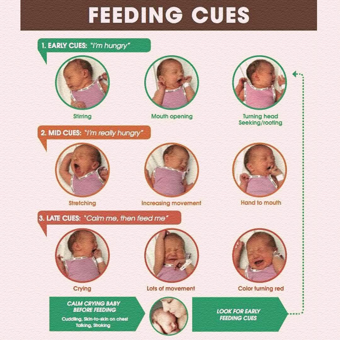 🥛 Baby Feeding Cues

👶 Rooting or turning head toward breast/bottle

🖐 Sucking on hands or fingers

😮 Opening mouth wide

😢 Fussy or restless

💨 Making smacking or sucking sounds

✨ Responding early helps your baby feed better and stay happy!

..ask dDOBs