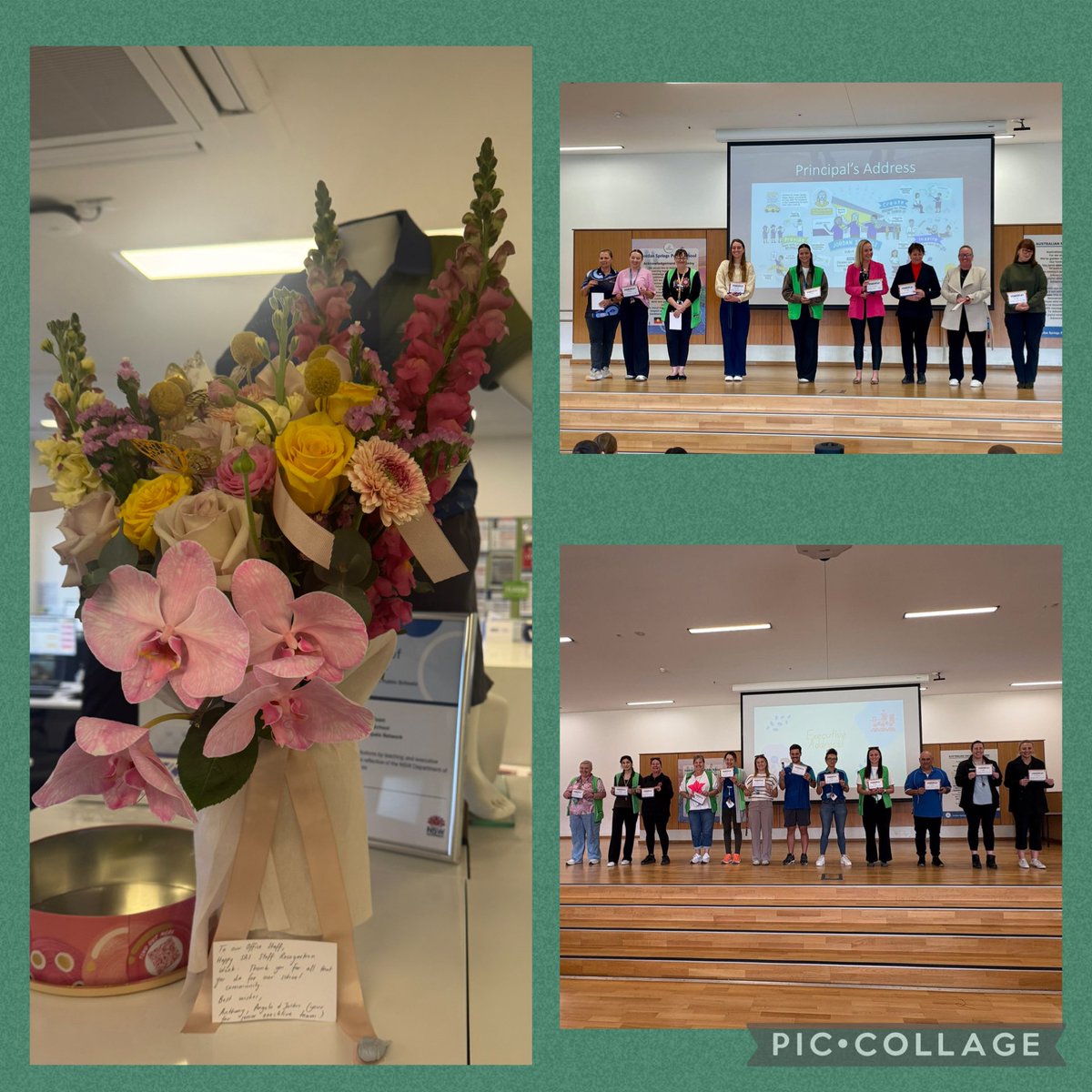 A R Pitt tweet media