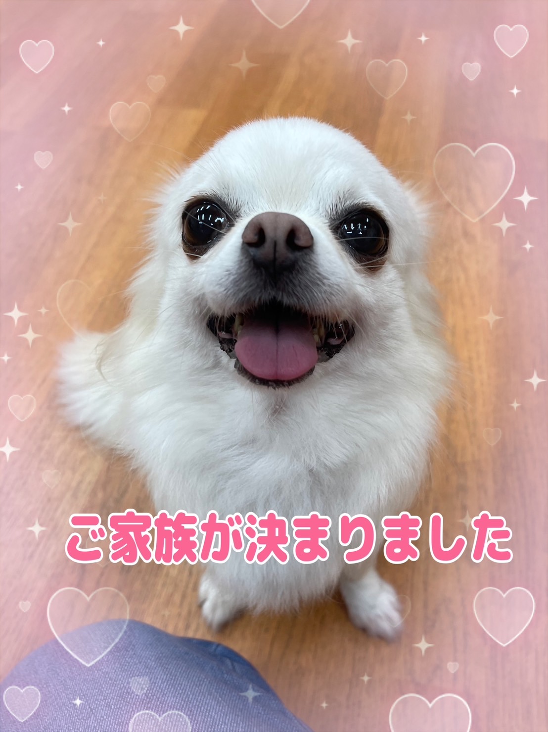 ピカ・コーポレーション☆三脚脚立☆グリーンマスター・GMK-300A,剪定