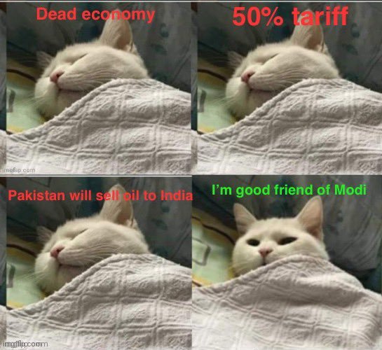 G0IvvNwWEAAa8hU?format=jpg&name=small