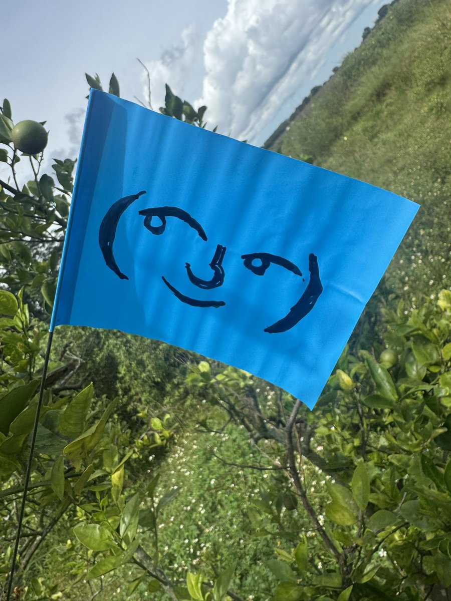 CryptoMike0815's tweet image. #Lennycodefiction