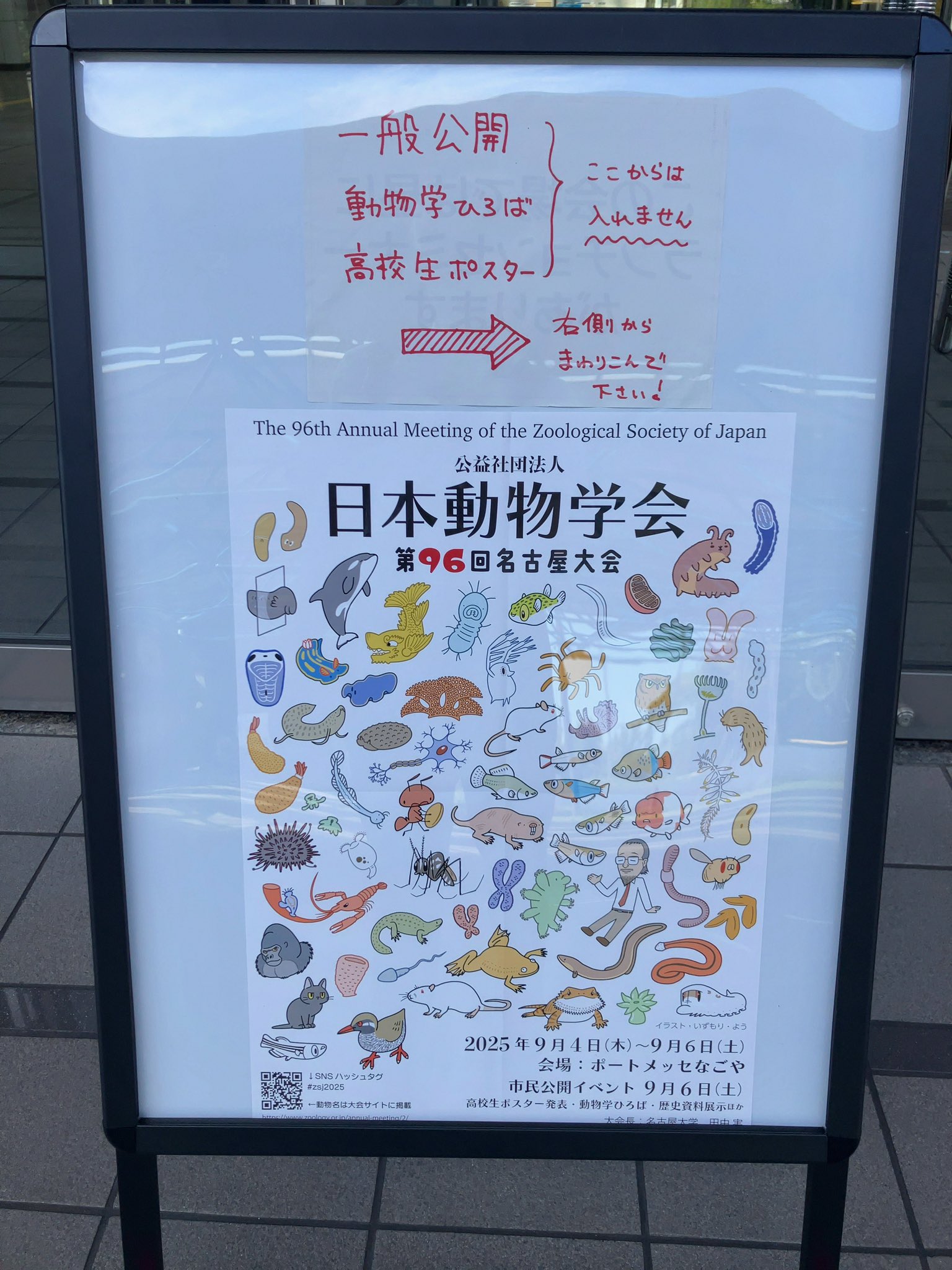 【中古本】動物系統分類学10上 中古本】動物系統分類学10上 中古本】動物系統分類学10上