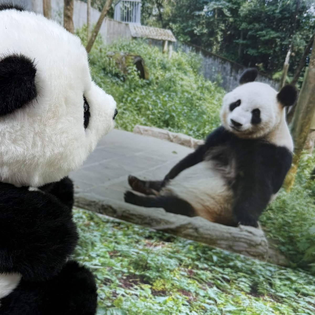 パンダと竹のサンドアートオブジェ パンダと竹のサンドアートオブジェ パンダと竹のサンドアート