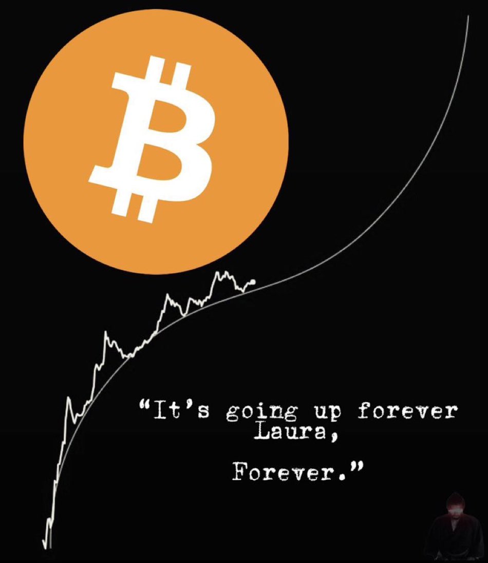 saylordocs's tweet image. “It&apos;s going up forever, Laura, forever.”

- Michael Saylor