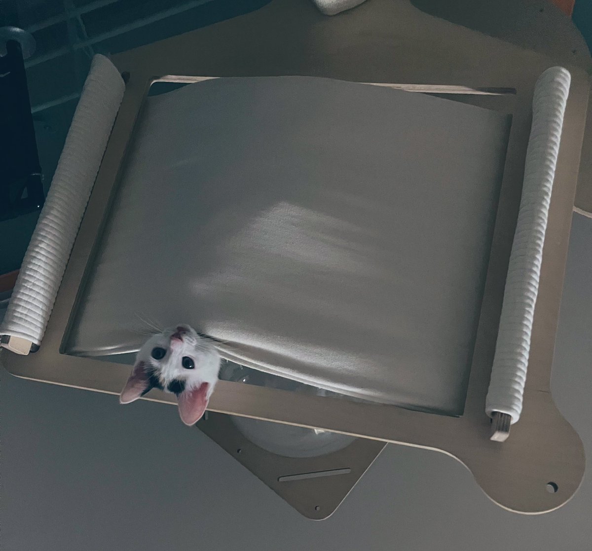 거실에서 자다 눈 떴을 때 보인 것