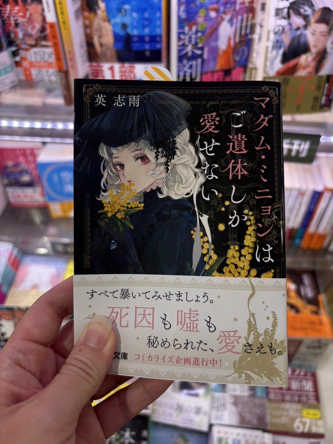 英 志雨✝️小説『マダム・ミニョン』8/12 (@qiuhanabusa) / X