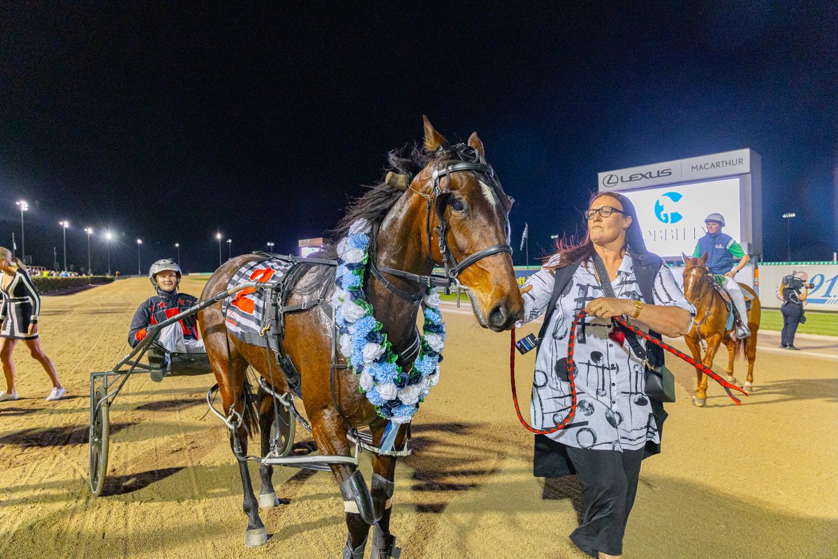 Smirkin Serene reigns supreme in the Group 2 <a href="/CobbittyEquine/">Cobbitty Equine Farm</a> NSW Breeders Challenge Blue - 3YO Fillies Final.✨

Trained by Dean and Kerry McDowell and driven by Lleyton Green, the daughter of Lord Zin Zan NZ out of Serene Grin, recorded a mile of 1.52.1.

#NSWBred | <a href="/Bagley05/">Bagley</a>