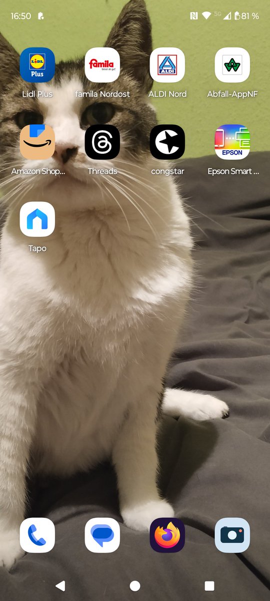 BuganDonneraxt's tweet image. And of course Stummel is there too to judge me every time I open an app 😂