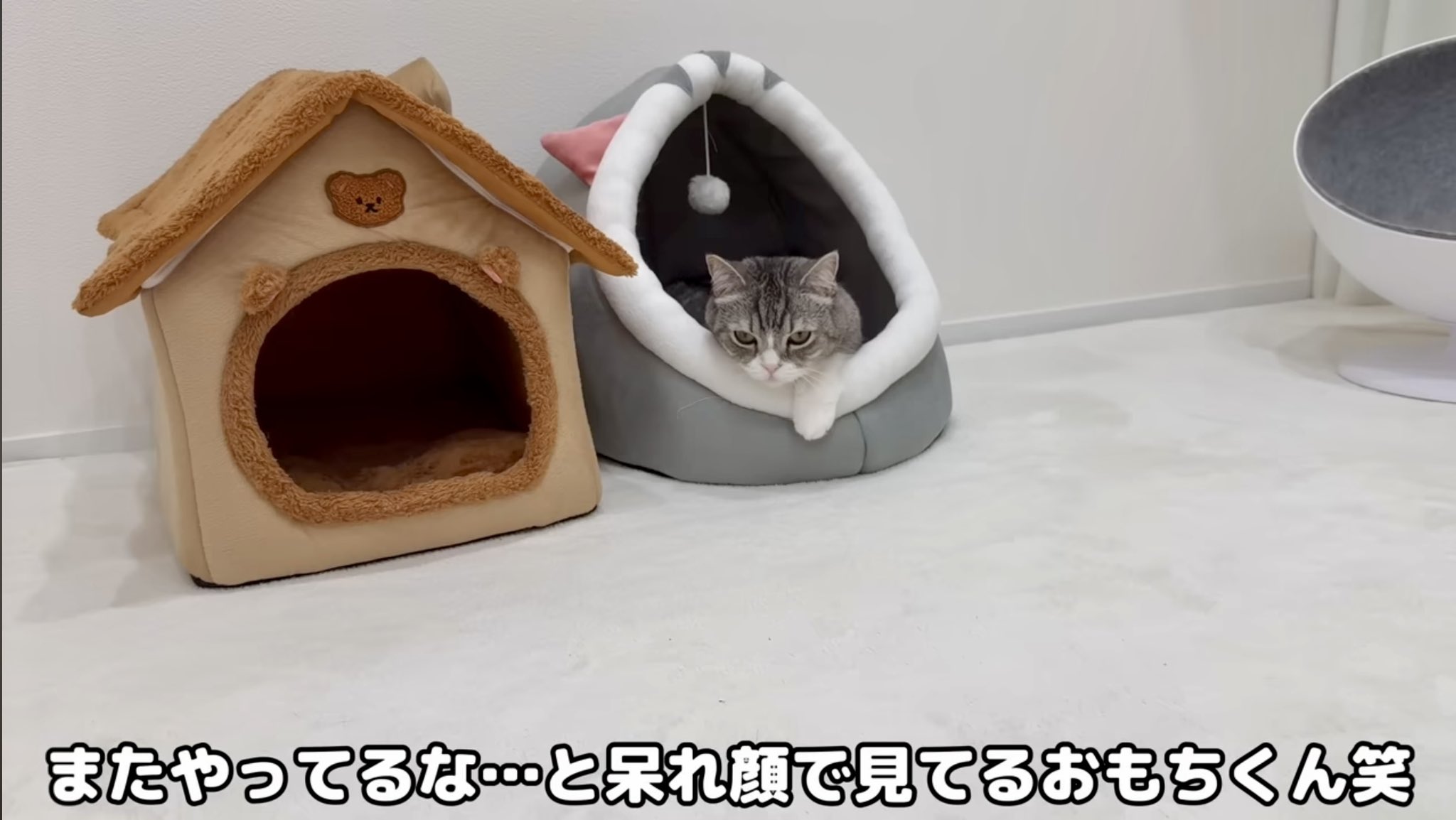 波流 on X: 