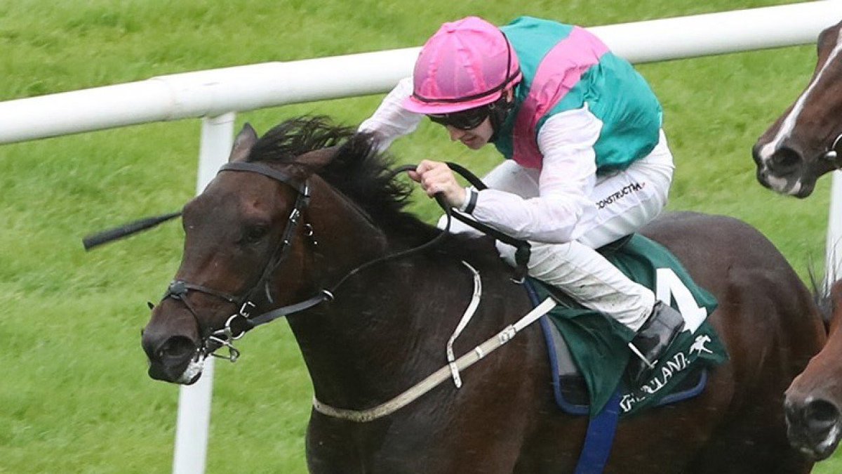 Here are the horses I’ve backed today 🏇

Good luck all! 🤞🏻

Suite Francaise (1.15 H) @ 8/1
Sky Majesty (3.35 H) @ 15/2

Abloom (3.50 A) @ 11/2
Double Rush (4.25 A) @ 4/1

#EnigmaHN