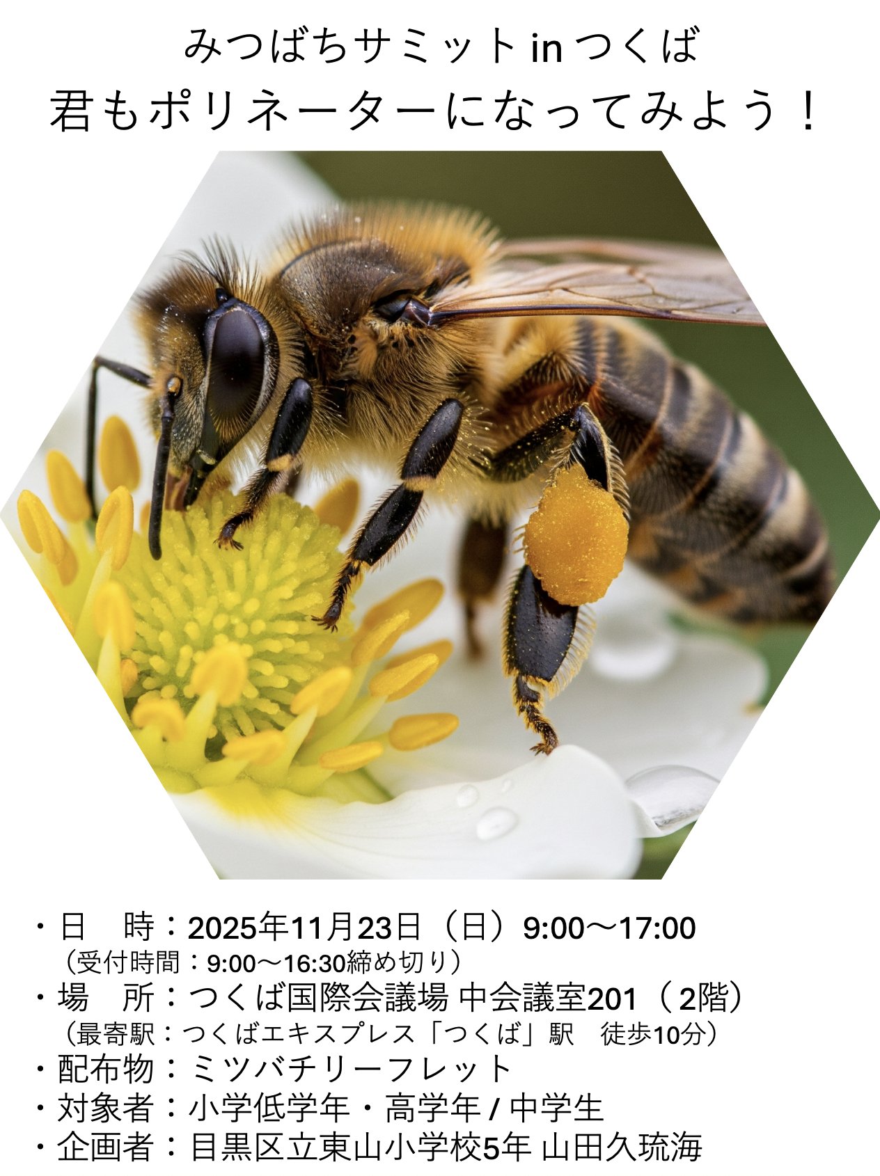 Shells様検討用　日本蜜蜂巣蜜2025.9 Shells様検討用 日本蜜蜂巣蜜2025.9 楽天市場】【2025年新蜜】国産