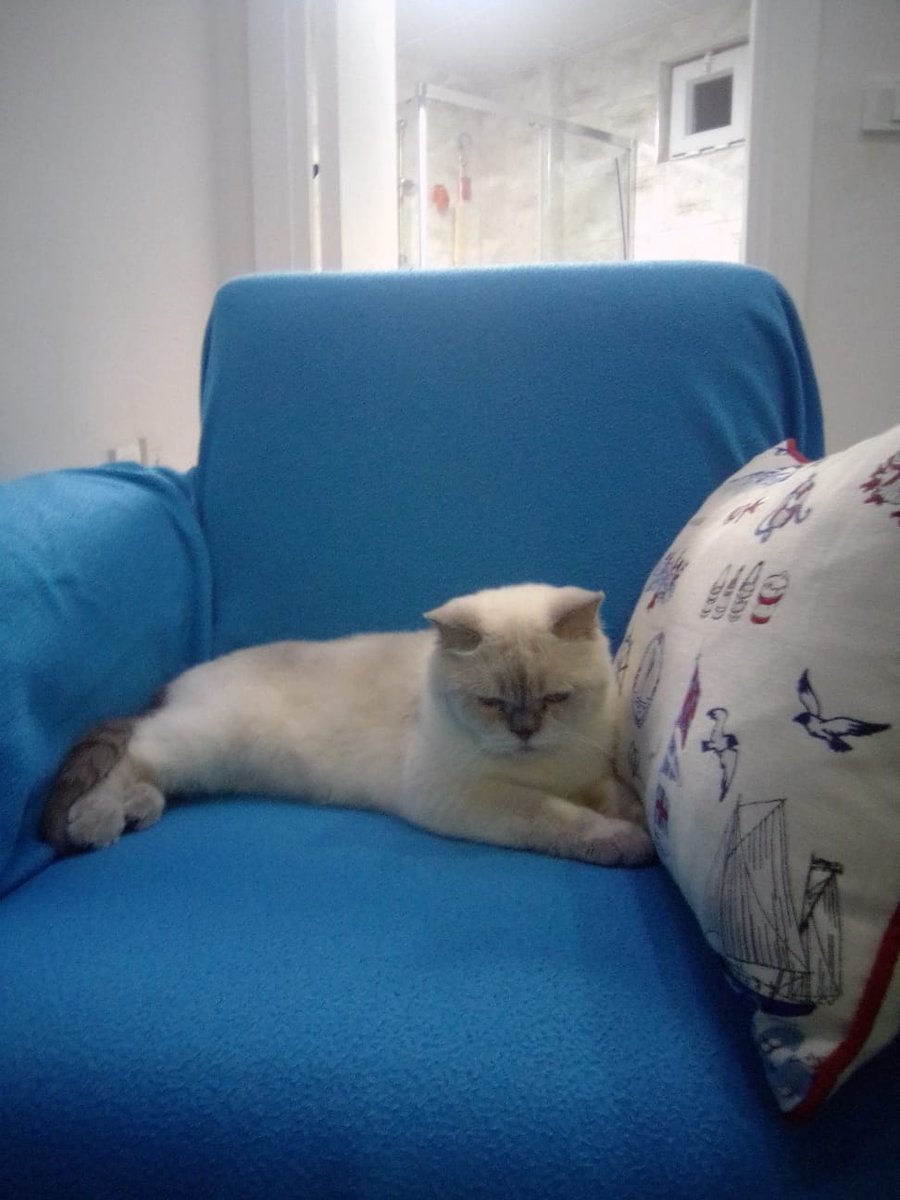 basenleri düşüncelere dalarsım nerden geldik nereye gidiyoruz diye işte tam o an bir ayak sesi seni tüm paradokslardan kurtarır çümkü hüptirik zamanıdır