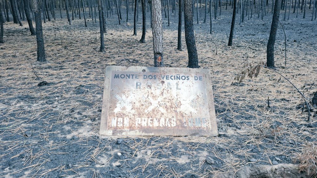 A planificación a longo prazo e a xestión integrada é a única posibilidade. 
Oxalá saibamos como facelo e teñamos comunidades locais activas dispostas a abordar o reto. Non podemos pedirlles máis esforzos pero son a única esperanza que temos. Apoiemos.