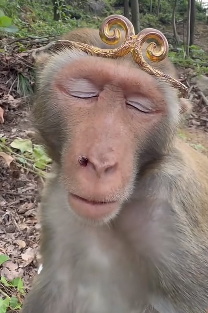 Netflix nooo!! That money is for sporty