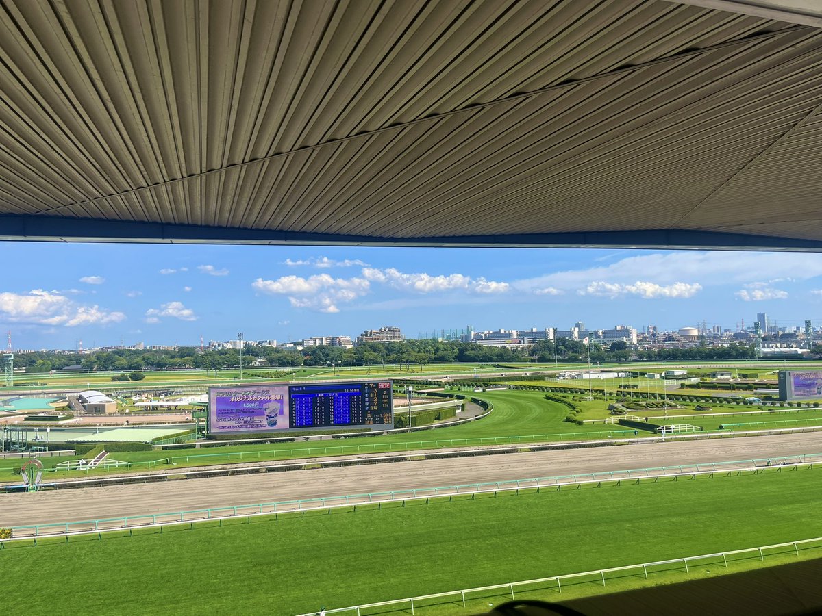 競馬実況　藤原菜々花直筆サイン 競馬 藤原菜々花 サイン