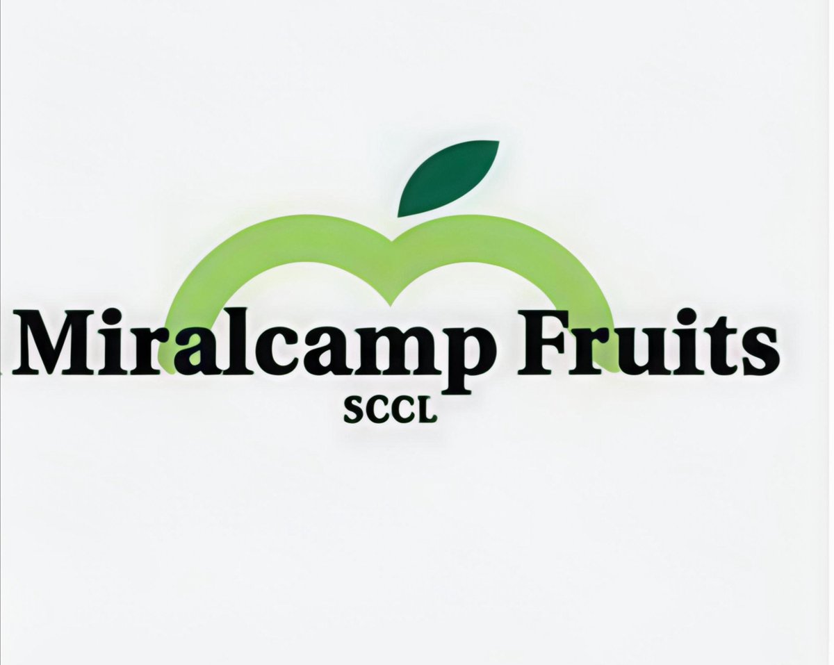 CFJ Mollerussa tweet media