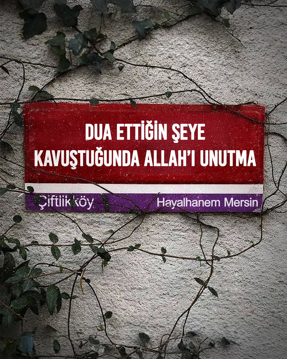 Hayalhanem (@hayalhanemersin) on Twitter photo 