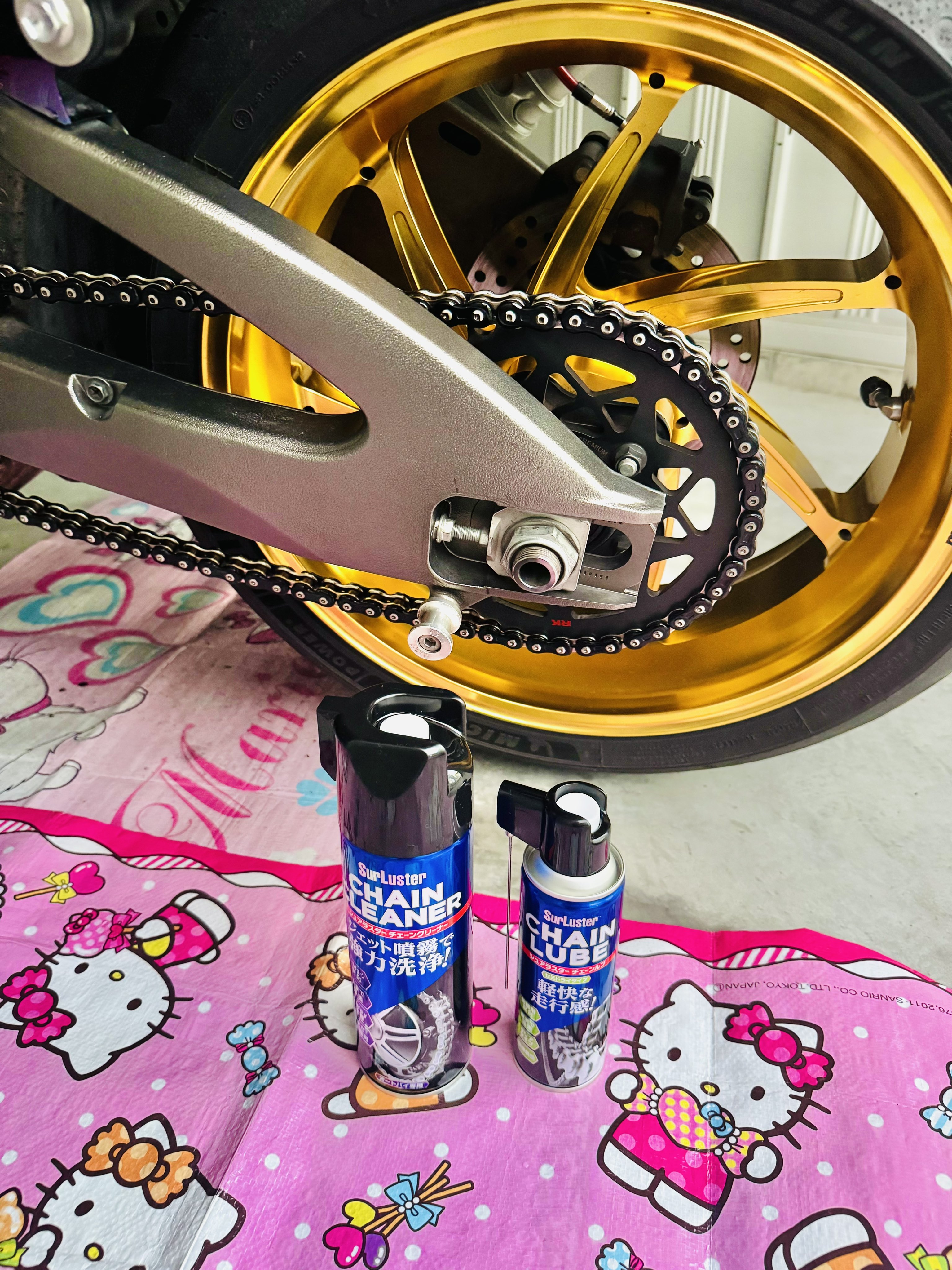 𝐒ちゃん🌸猫Photo Rider on X: 