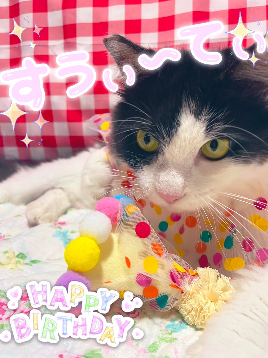 𝕄𝕠𝕟𝕖𝕥ᰔᩚ𝕋𝕪𝕣𝕠𝕝ᰔᩚ𝕊𝕨𝕖𝕖𝕥𝕚𝕖 (@mamimumeow) / X